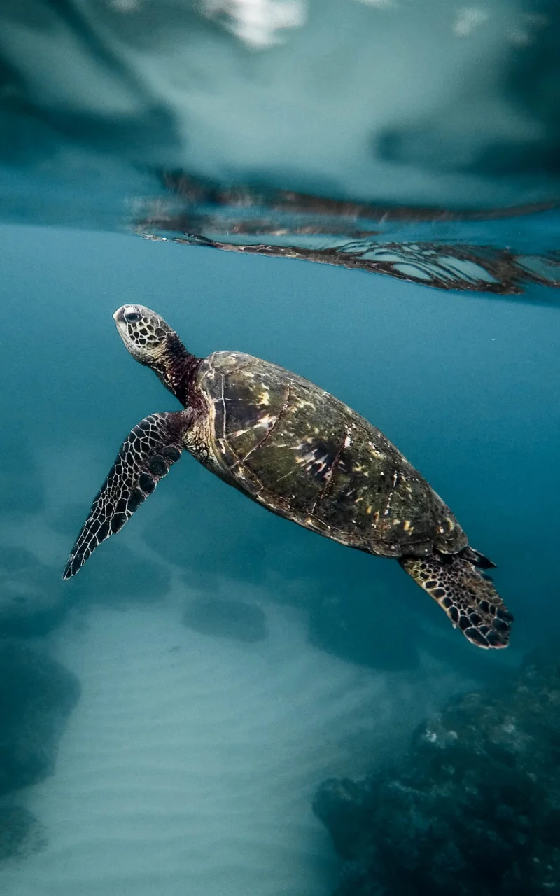 Il marketing B2B nel 2026: cosa sta realmente cambiando e cosa no